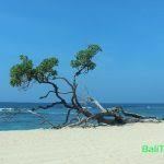 Nusa Dua Beach